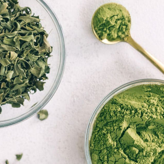 H.01 Moringa Revitalisant